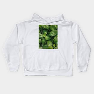 Leaves Kids Hoodie